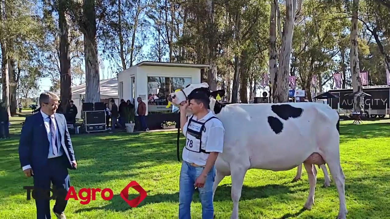 Entrevista Todo Agro
